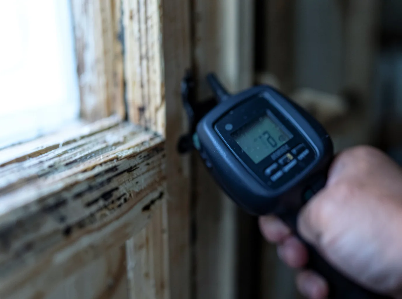 Moisture Inspection And Documentation in Gloucester Township, NJ